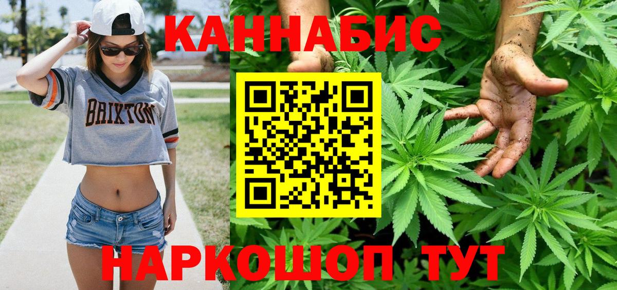 Конопля гибрид  Бошки Шишки Bruce Banner  Вход с VPN  Марихуана планчик  Ульяновск 